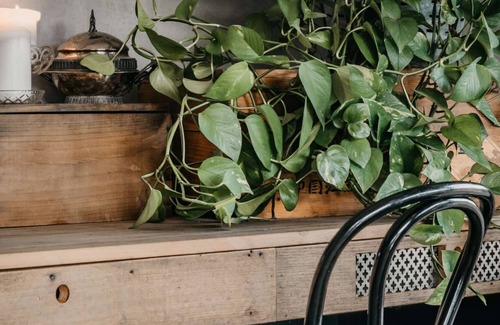 Crackenback House | + MOUNTAIN TRANQUILITY + Fireplace + PETS WELCOME