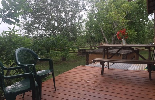 Billy White Apartment | Mountain View 1 Bd Apartment;10 mins from Spanish Lookout;Coconuts, Limes, Hike