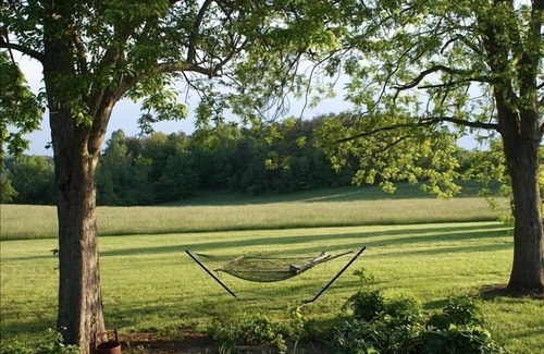 Brightwood House | Mountain View 65 Acre Private Retreat Pool Hot tub Wineries Charlottesville
