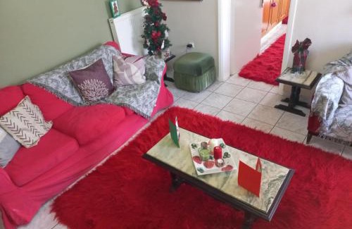 Mosia House | Mountain View