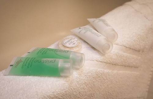 Canmore Hotel | Mountain View Inn