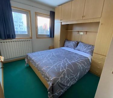 Passo del Tonale Apartment | Mountain View