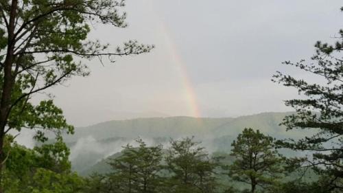 Pigeon Forge House | Mountain View Lodge, free tickets, no catch!