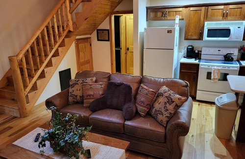 Canton Cabin | Mountainside cabin along the Pigeon River - Pickleball court on-site