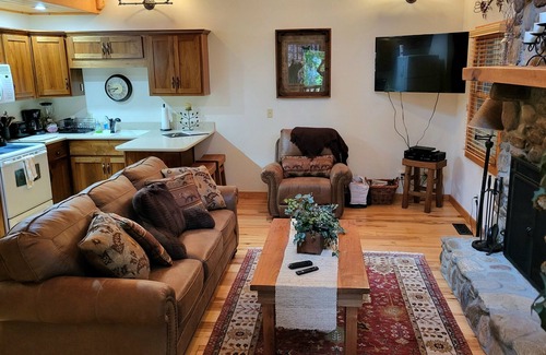 Canton Cabin | Mountainside cabin along the Pigeon River - Pickleball court on-site
