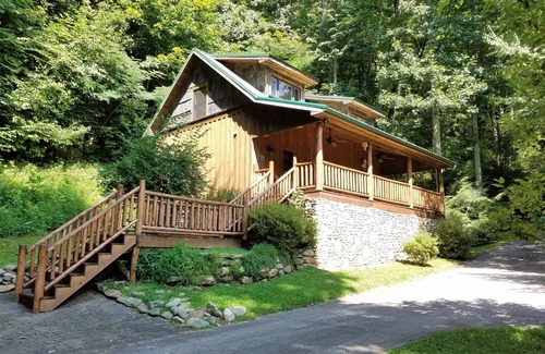 Canton Cabin | Mountainside cabin along the Pigeon River - Pickleball court on-site