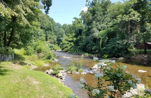 Canton Cabin | Mountainside cabin along the Pigeon River - Pickleball court on-site
