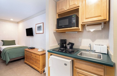 Telluride Hotel | Mountainside Inn Pet-Friendly Room With Kitchenette