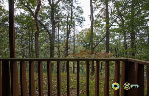 Mount Jackson Condo | Mountainside Retreat Condo (#2-101) | Lower-level | Quiet & secluded