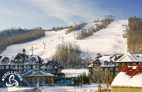 Craigleith House | Mountainview Loft at North Creek Resort