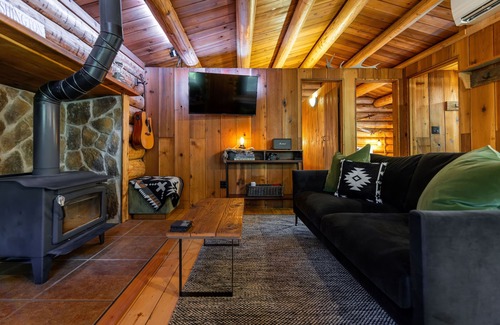 Warnick Cabin | Mt Baker Log Cabin w/Cedar Hot Tub, Firepit, Central Heating/Cooling & BBQ