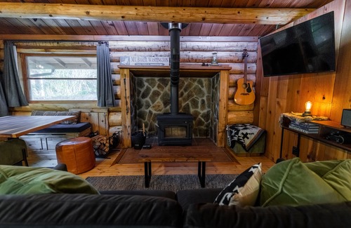 Warnick Cabin | Mt Baker Log Cabin w/Cedar Hot Tub, Firepit, Central Heating/Cooling & BBQ