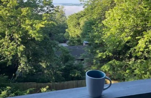 Fayetteville House | Mt Sequoyah Chalet with mountain view only minutes from town square!