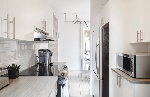 Plateau Mont Royal Apartment | MTLVR #06 | Live like a local, sleeps 8, A/C patio
