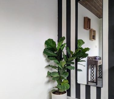 Bengaluru House | Mud And Mango Homestay