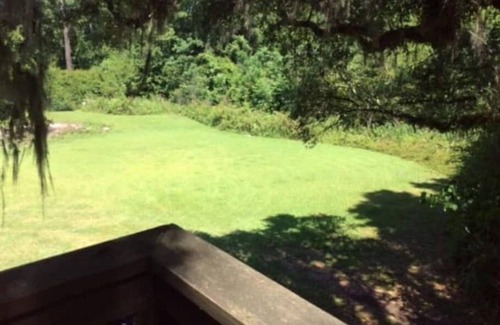 Bogalusa Cabin | Multi level Swiss family Robinson Treehouse