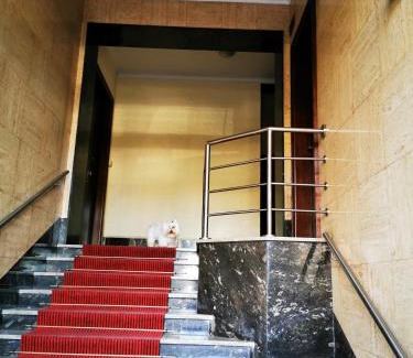 Citta Nuova-Barriera Nuova-San Vito-Citta Vecchia Bed & Breakfast | MURAT OTTO