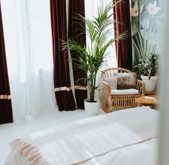 South Antwerp Bed & Breakfast | Musa Antwerp