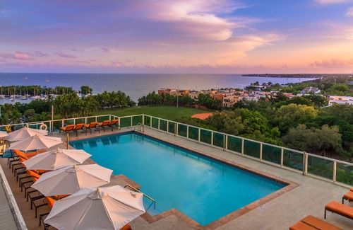 Coconut Grove Apartment | MVR-See the City Sparkle-Every Night