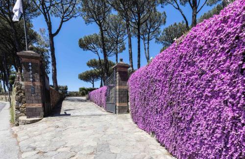 Sant'Agata sui Due Golfi Villa | My Exclusive Italy - Elegant Sorrento Coast Villa with Pool and Tennis Court