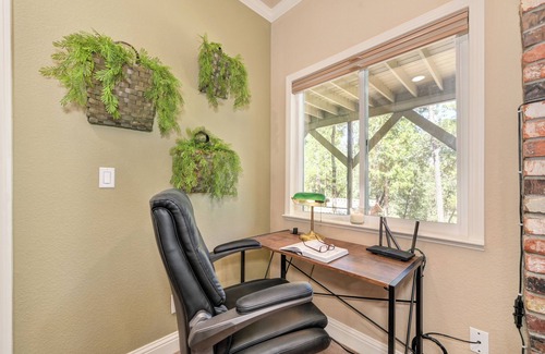 Chicago Park Apartment | My Lil' Piece of Heaven. 1 mile to Rollins Lake. Full kitchen. Dog-friendly.