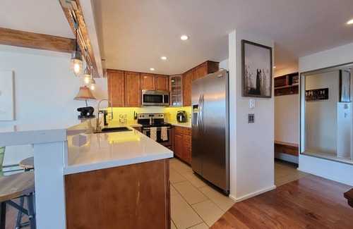 Snowmass Village Apartment | MY MOUNTAIN SHACK-Upscale Condo- Walk to Lifts-Mountain VIEW