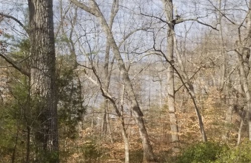 Lanexa House | Myrlon Cottage at Chestnut Grove