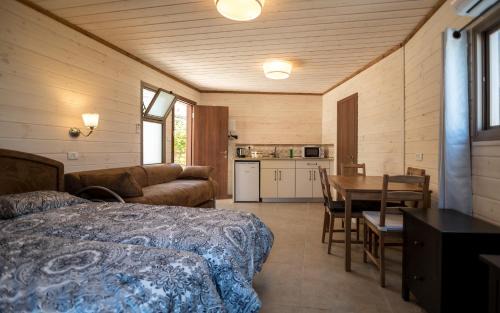 Artists Colony Bed & Breakfast | Myrtle the Turtle Guesthouse