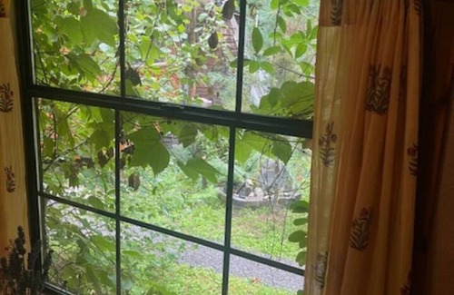 Marblemount Cabin | Mystic Ivy on the Cascade River