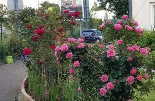 Trappes Hotel | N&Z HOTELS