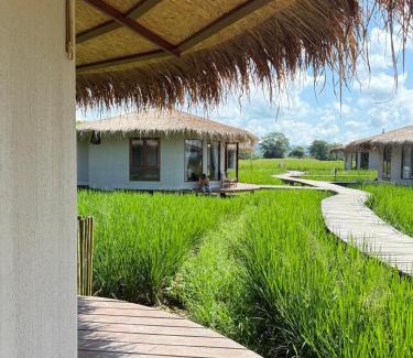 Wiang Pa Pao Hotel | Na Bua Villa Chiangrai