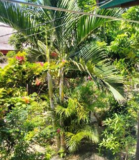 Kuta House | Nadil Homestay