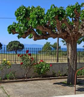 Gefira Mpania House | Nafpaktos The country home