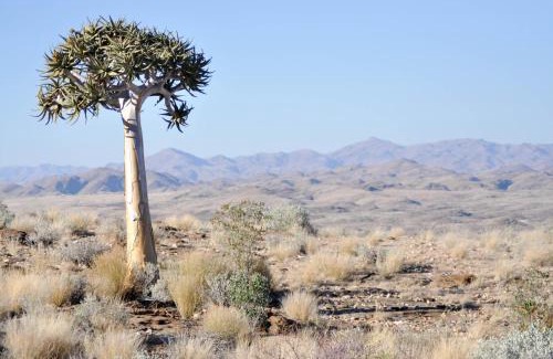 Solitaire Cabin | Namibs Valley Lodge