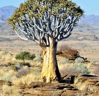 Solitaire Cabin | Namibs Valley Lodge