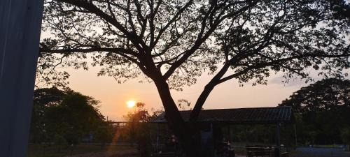 Nong Chaeng Villa | Nan Homey Space น่านโฮมมี่สเปซ
