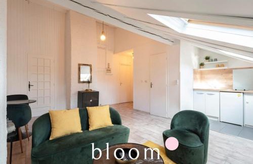 Poincare - Foch - Anatole France - Croix de Bourgogne Apartment | Nancy face à la gare très bel appartement