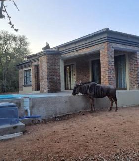 Marloth Park Cabin | Nanisto Bush Lodge