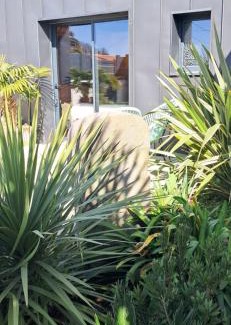 Medis House | Nanouchka