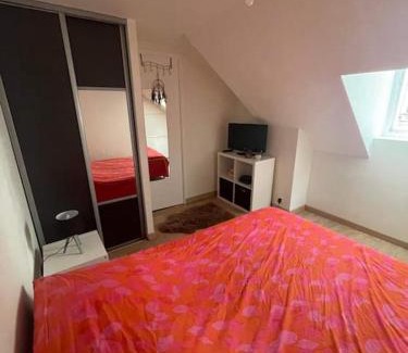 Nantes Centre Apartment | Nantes : T1 bis hyper centre (commerce) très calme