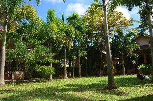 Ko Lanta House | Naraya Resort