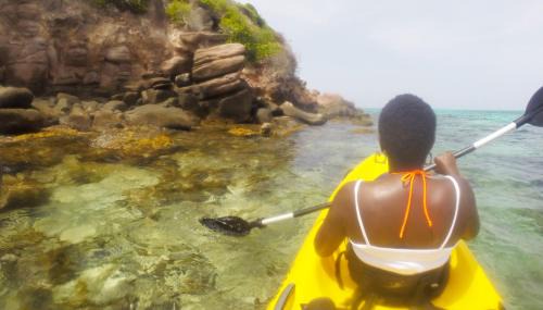 Bahia Suroeste Hotel | Native Lodge Brisas del Sur