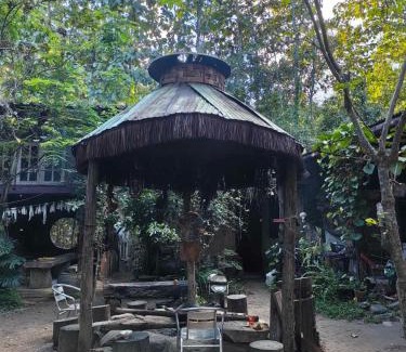 Chiang Dao Other | Natural