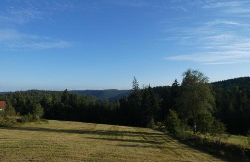 Freudenstadt Apartment | Naturapartment SCHWARZWALDSEELE Kniebis