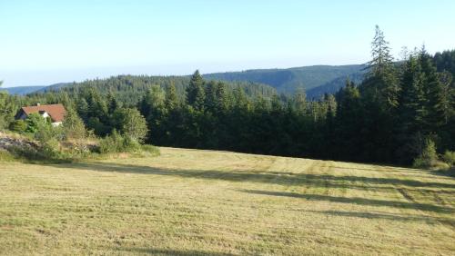 Freudenstadt Apartment | Naturapartment SCHWARZWALDSEELE Kniebis