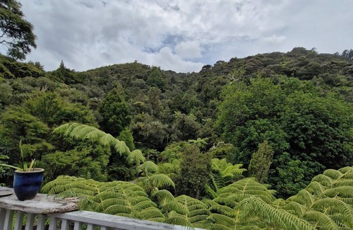 Amodeo Bay House | Nature at its very best park like lawn, stuning stream, fire pit pet friendly!