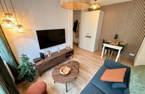 Poincare Apartment | Nature & Breeze - Heart of Strasbourg