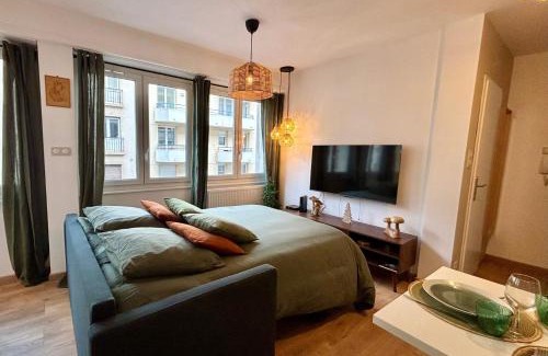 Poincare Apartment | Nature & Breeze - Heart of Strasbourg