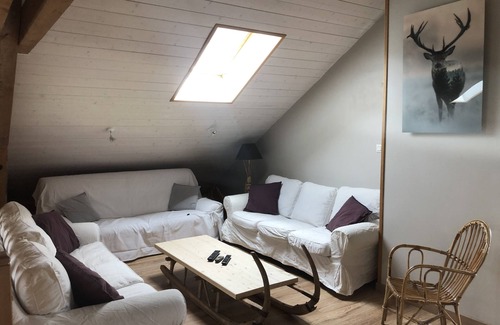 Ban-sur-Meurthe-Clefcy Other | Nature cottage, hot tub, sauna and billiards. Dogs accepted