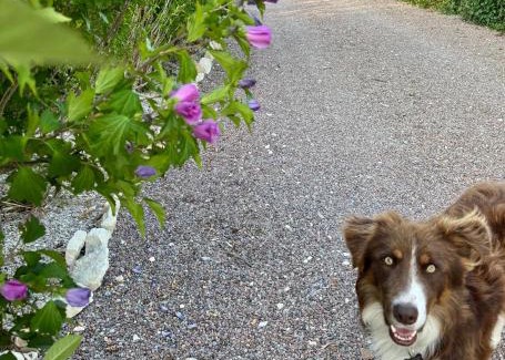 Cosne-Cours-sur-Loire House | Nature & jacuzzi, 1 hr 45 min from Paris